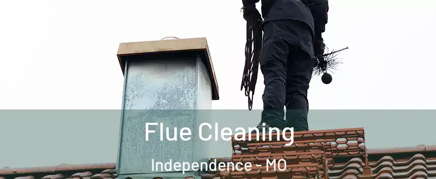 Flue Cleaning Independence - MO