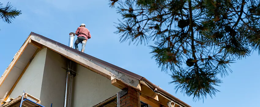 Birds Removal Contractors from Chimney in Independence, MO